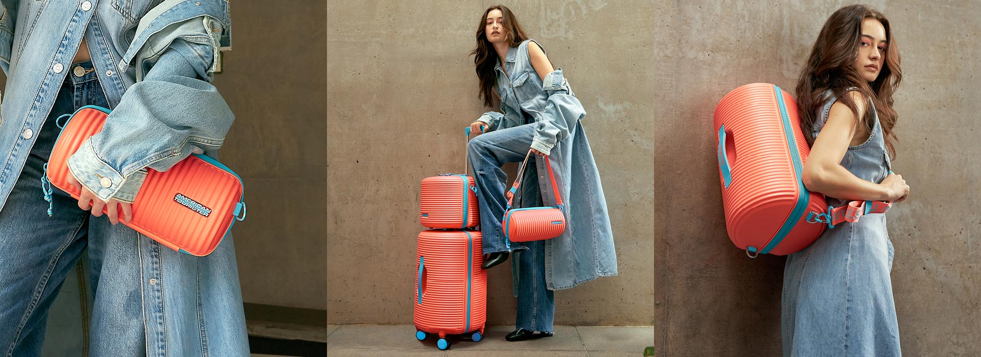 Share 141+ difference between bag and baggage best kidsdream.edu.vn